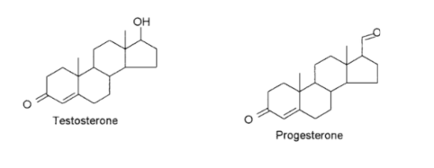 pfas.land facciolo 1