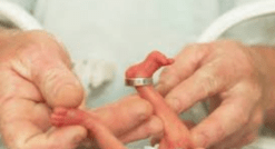 pfas.land facciolo 2