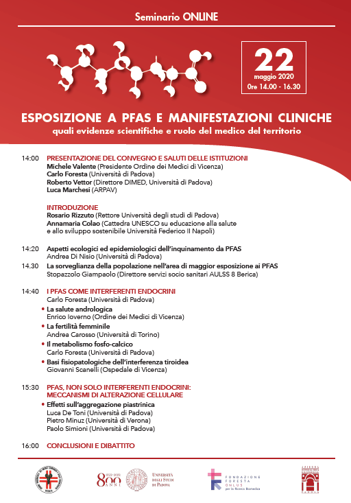 seminario padova